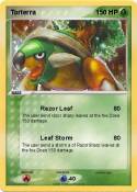 Torterra