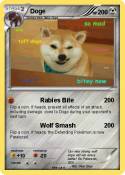 Doge