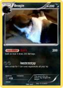 Beagle