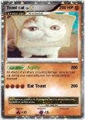 Toast cat