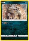 Vi-Cat