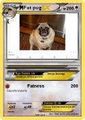 Fat pug