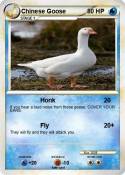 Chinese Goose