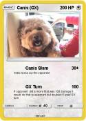 Canis (GX)