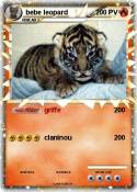 bebe leopard