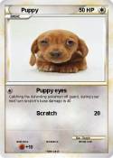 Puppy