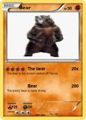 Bear