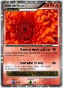 rose de feu