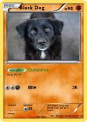 Black Dog
