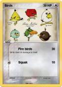 Birds