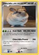 Chinchilla