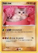 Petit chat