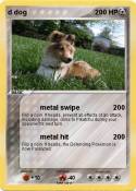 d dog