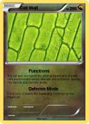Cell Wall