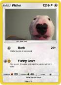 Walter