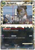 Big Squirrel