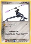 magnaguard
