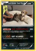 CAT/DOG TAGTEAM