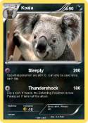 Koala