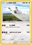 LLAMA GOD