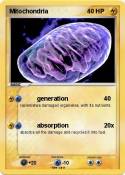 Mitochondria