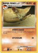SUPER FENEC