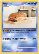 Pug