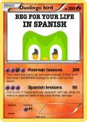 Duolingo bird