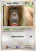 singe coiffeur