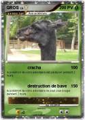 GROS