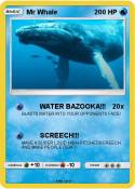 Mr Whale