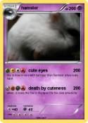 hamster