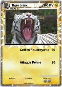Tigre blanc