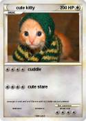 cute kitty