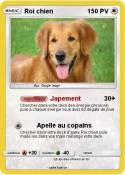 Roi chien