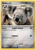 koala