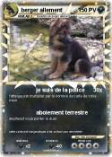 berger allement