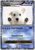 dog enter
