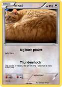fat cat