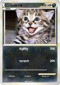 cute cat