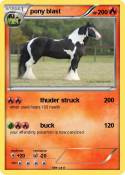 pony blast