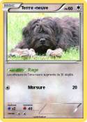 Terrre -neuve