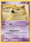 Doge