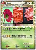Rosa