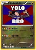 YOLO BRO!!!!