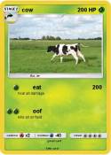 cow
