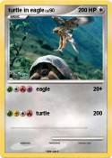 turtle in eagle