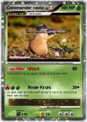 Commander cavia
