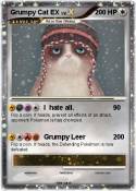 Grumpy Cat EX