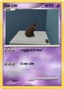 chat C0N